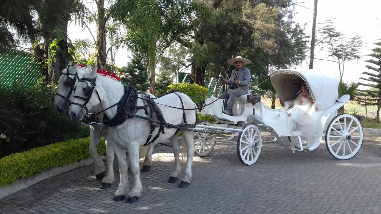 Carreta frente a iglesia