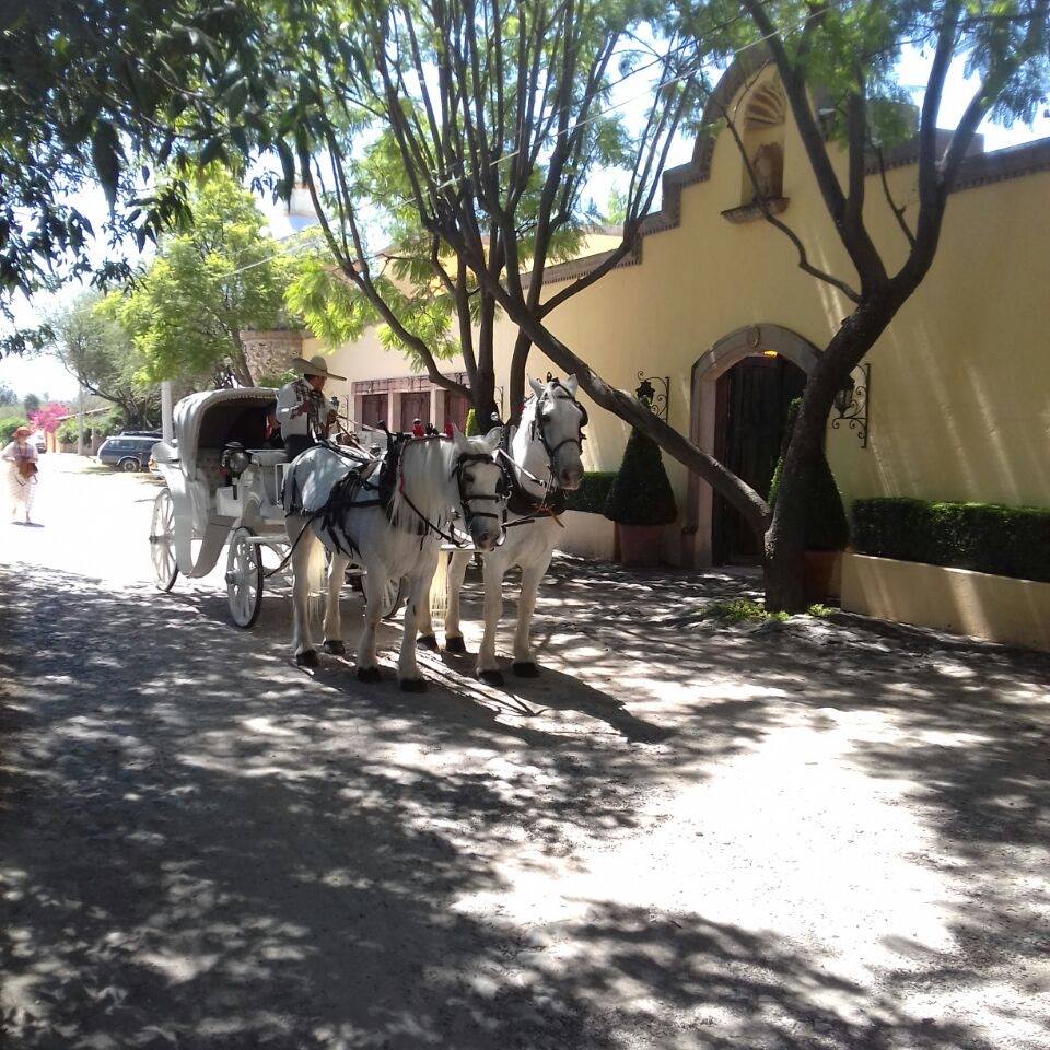 Carreta en lienzo charro