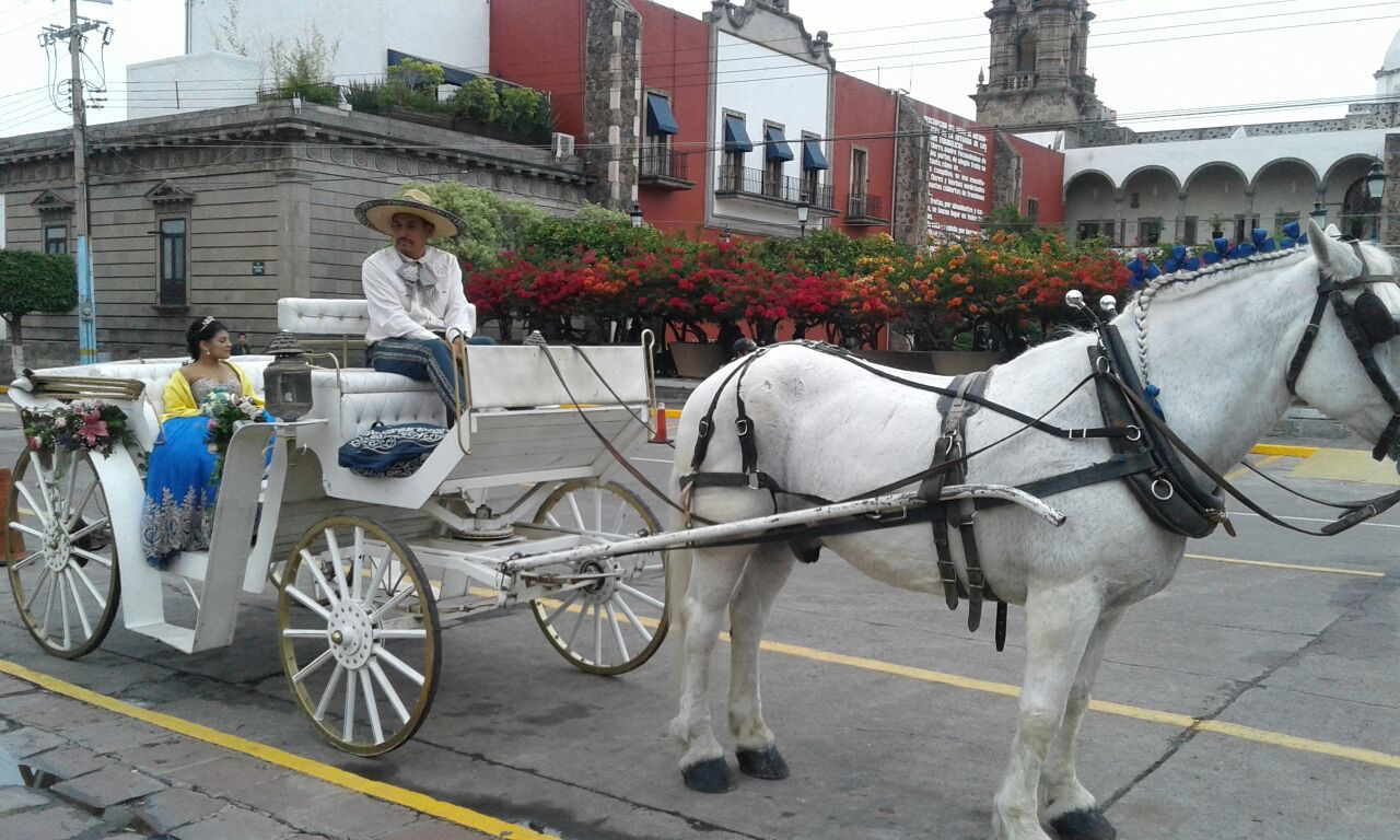 Carreta negra elegante