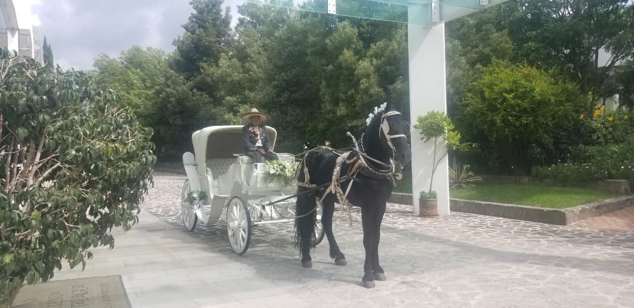 XV años en carreta blanca