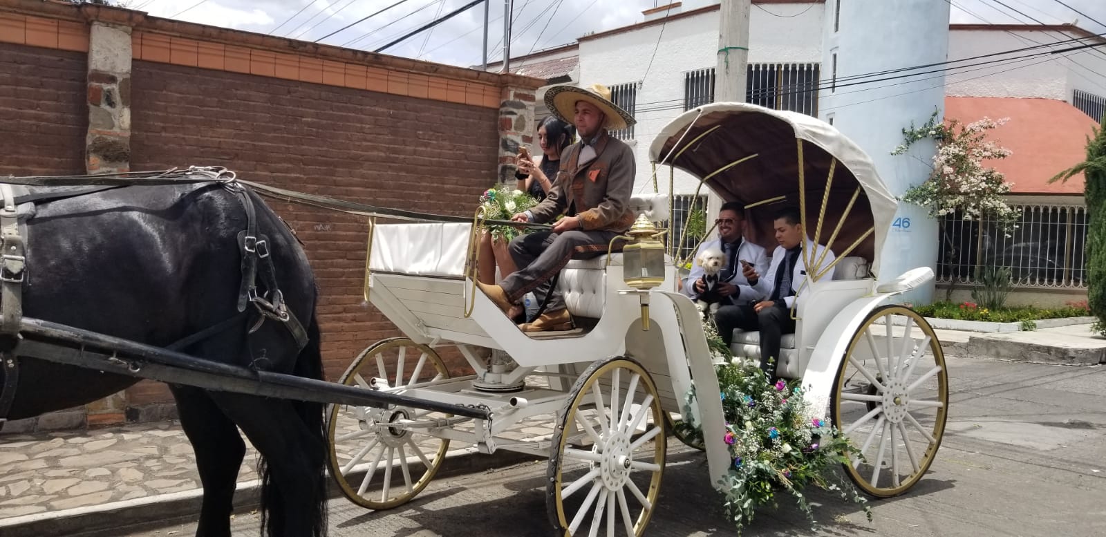 Caballos blancos en hacienda
