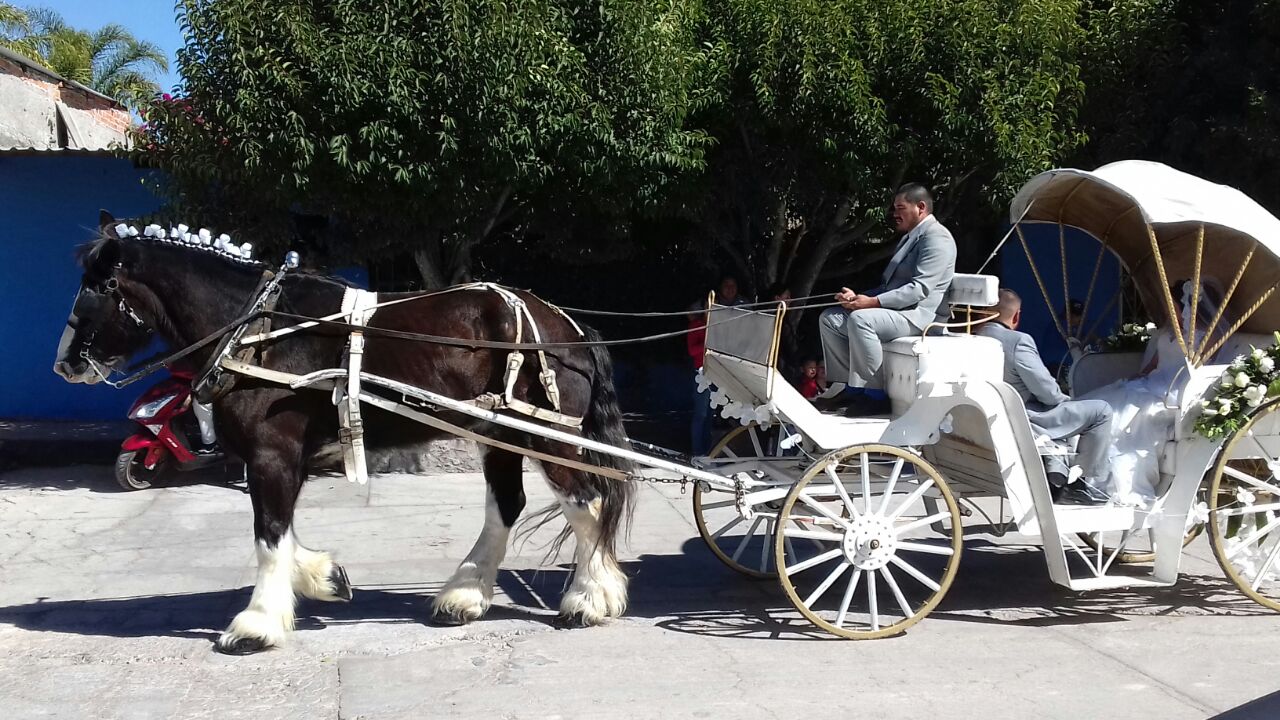 Quinceañera en carreta